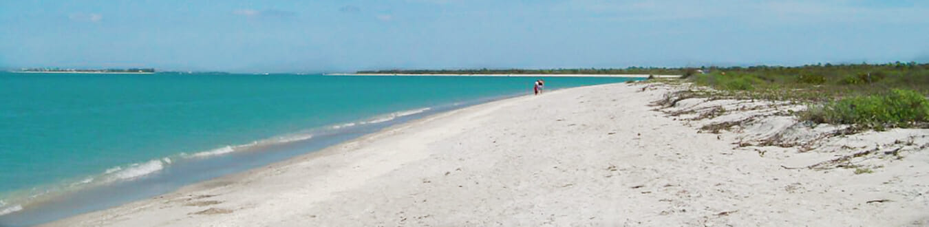 Cayo Costa Florida State Park beach visited by Florida Balm
