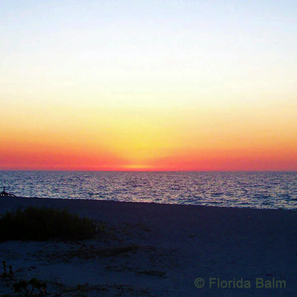 Cayo Costa Island Southwest Florida sunset