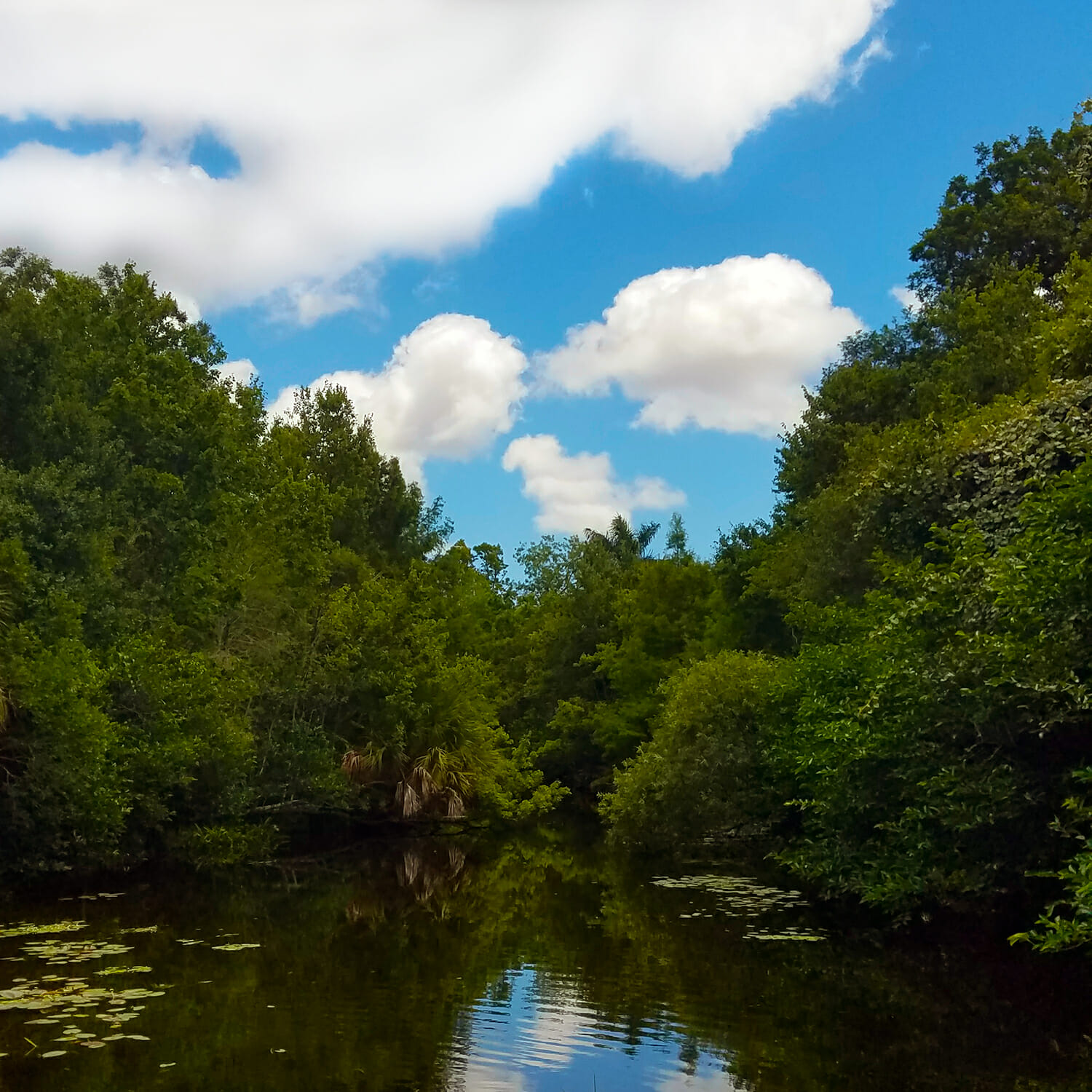 Loxahatchee Battlefield Park in Jupiter Florida, visited by Florida Balm