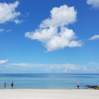 Naples North Gulf Shore Beach people pointing to manatees swimming by