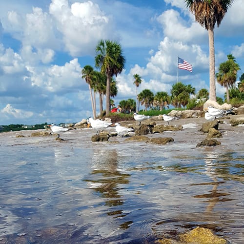 Sunset Beach at Tarpon Springs public beach