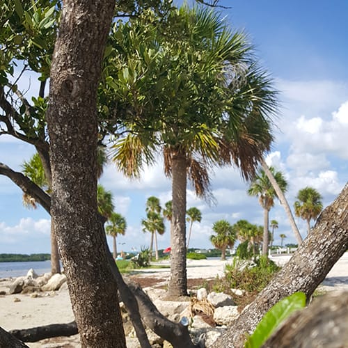 Sunset Beach at Tarpon Springs public beach