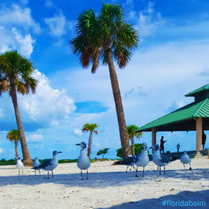 Sunset Beach Tarpon Springs in Florida