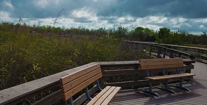 Anhinga Trail Boardwalk Loop at Royal Palm in Everglades National Park