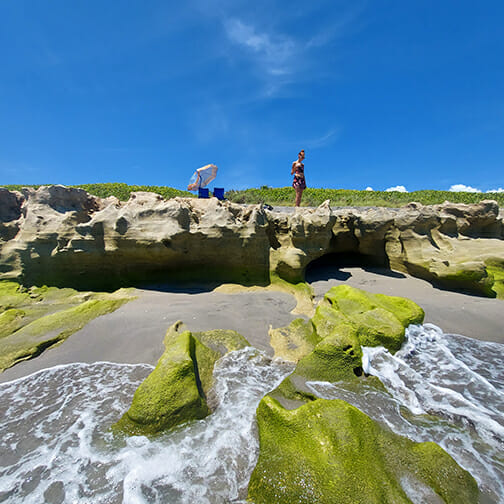 Blowing Rocks Preserve Jupiter