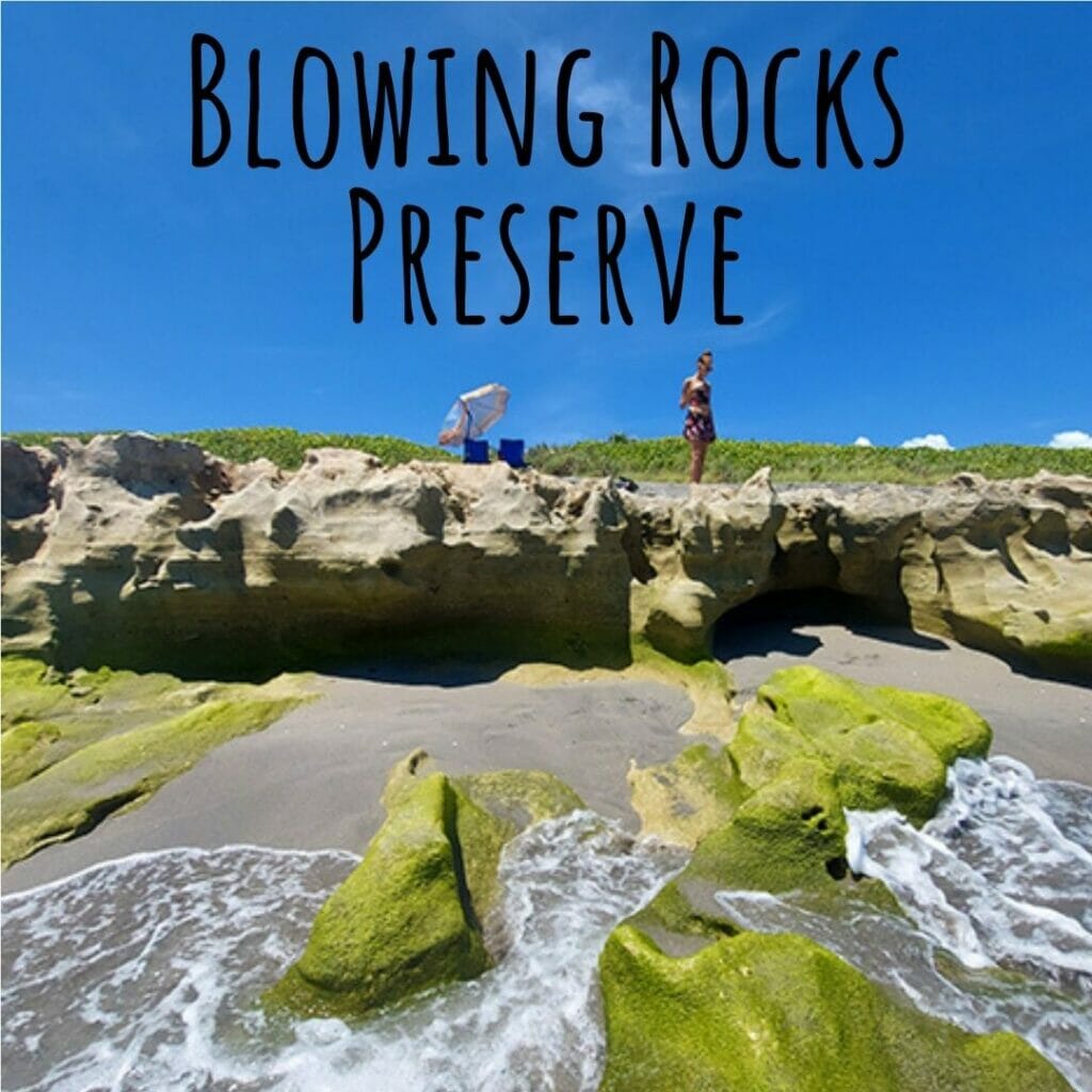 Blowing Rocks Preserve Jupiter Island