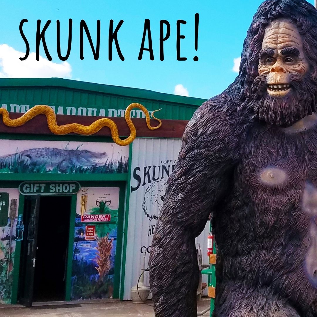 Skunk Ape Research Center in Ochopee Florida Everglades