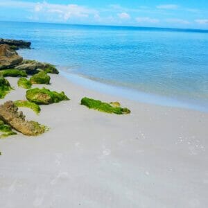 Naples Beach in Southwest Florida