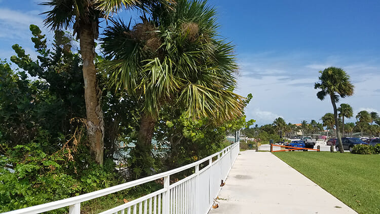 St. Lucie County Aquarium in Fort Pierce Florida