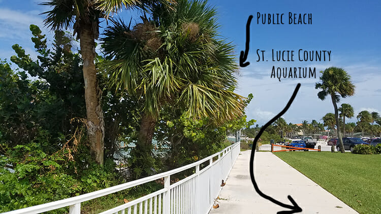 St. Lucie County Aquarium walk around Museum Pointe Park