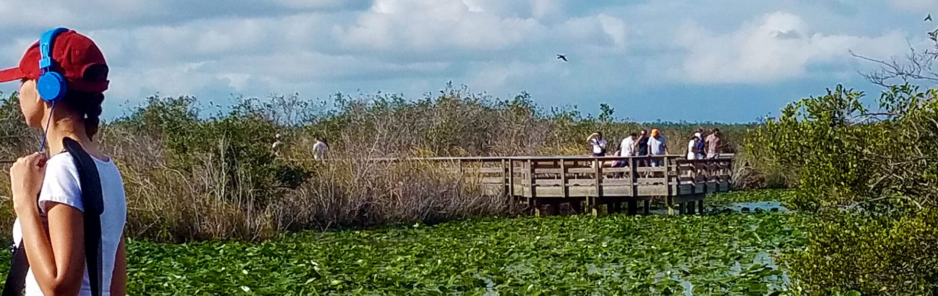 Everglades National Park