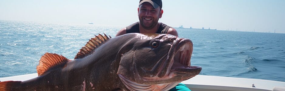 Florida fishing seasons grouper