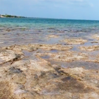 Natural rock beaches with tide pools in Florida