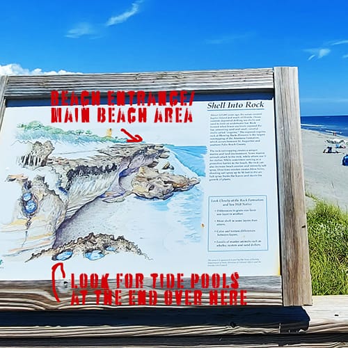 Blowing Rocks Preserve Beach Signage