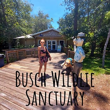 visiting Busch Wildlife Sanctuary in Jupiter