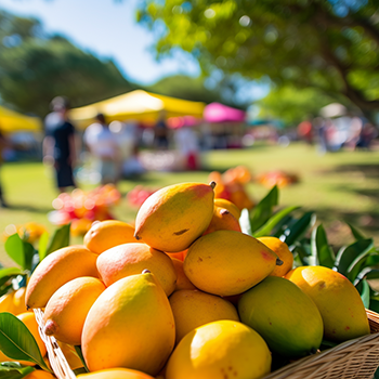 mango festival in Florida