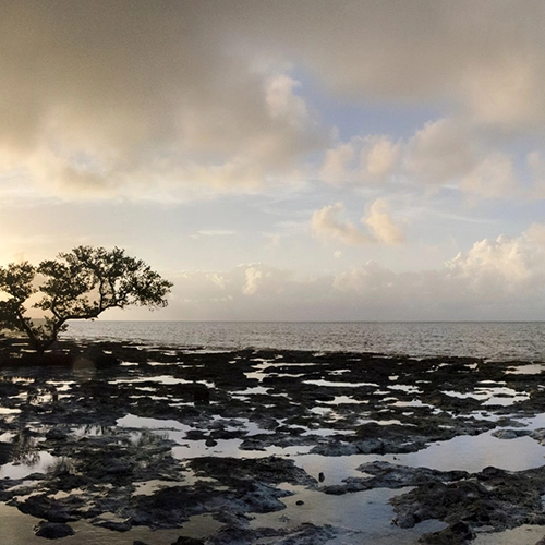 Florida tidal pool at sunset