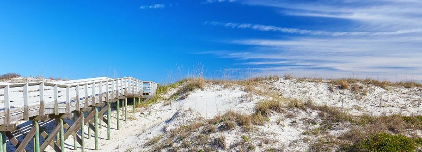 Anastasia State Park in St. Augustine