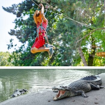 St. Augustine zip line and gators