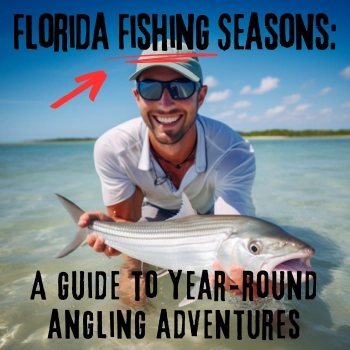 Florida fishing seasons guide to year round angling