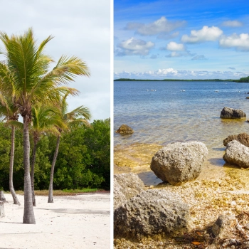 kid friendly activities in Key Largo Florida beach