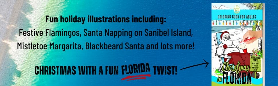 Christmas in Florida Coloring Book for Adults