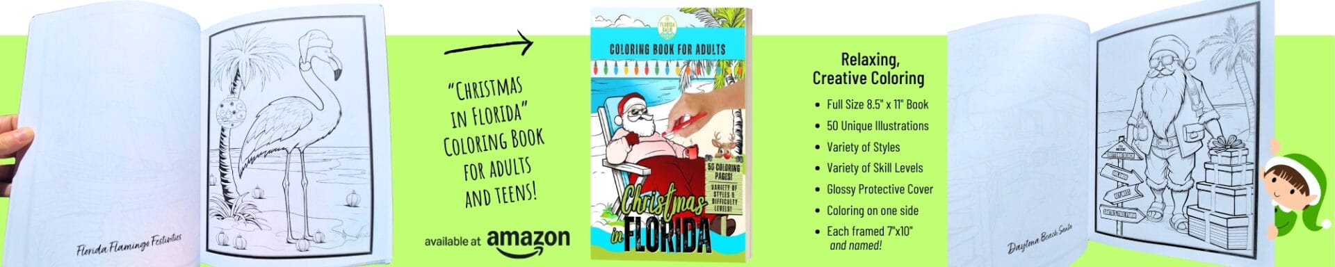 Christmas in Florida coloring book for adults