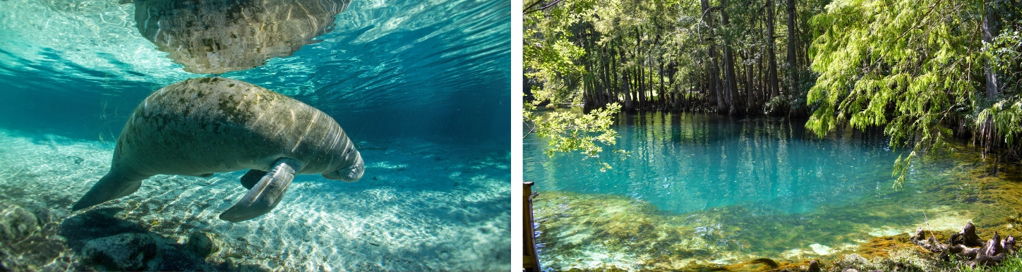 Ocala Florida budget friendly weekend getaway