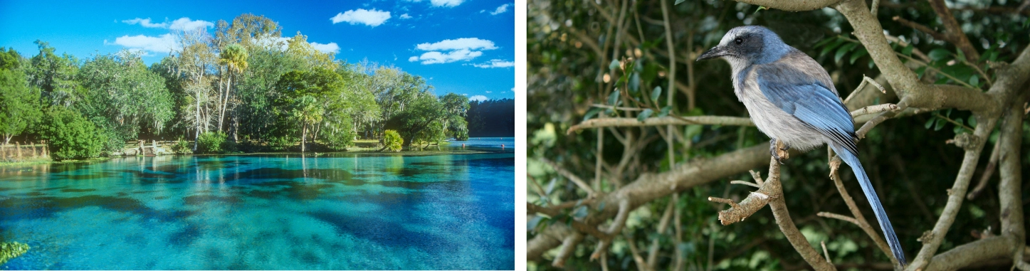 inexpensive Florida weekend getaway ideas