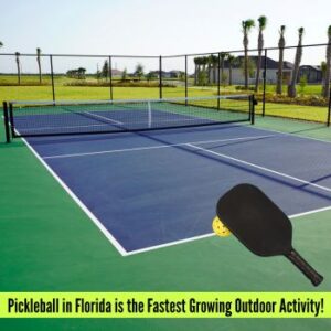 pickleball in Florida